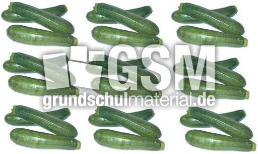 Zucchini-9x3.jpg